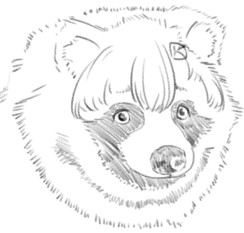 はちさんのイラスト
